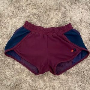 Purple/blue rare aviator nation sweat shorts